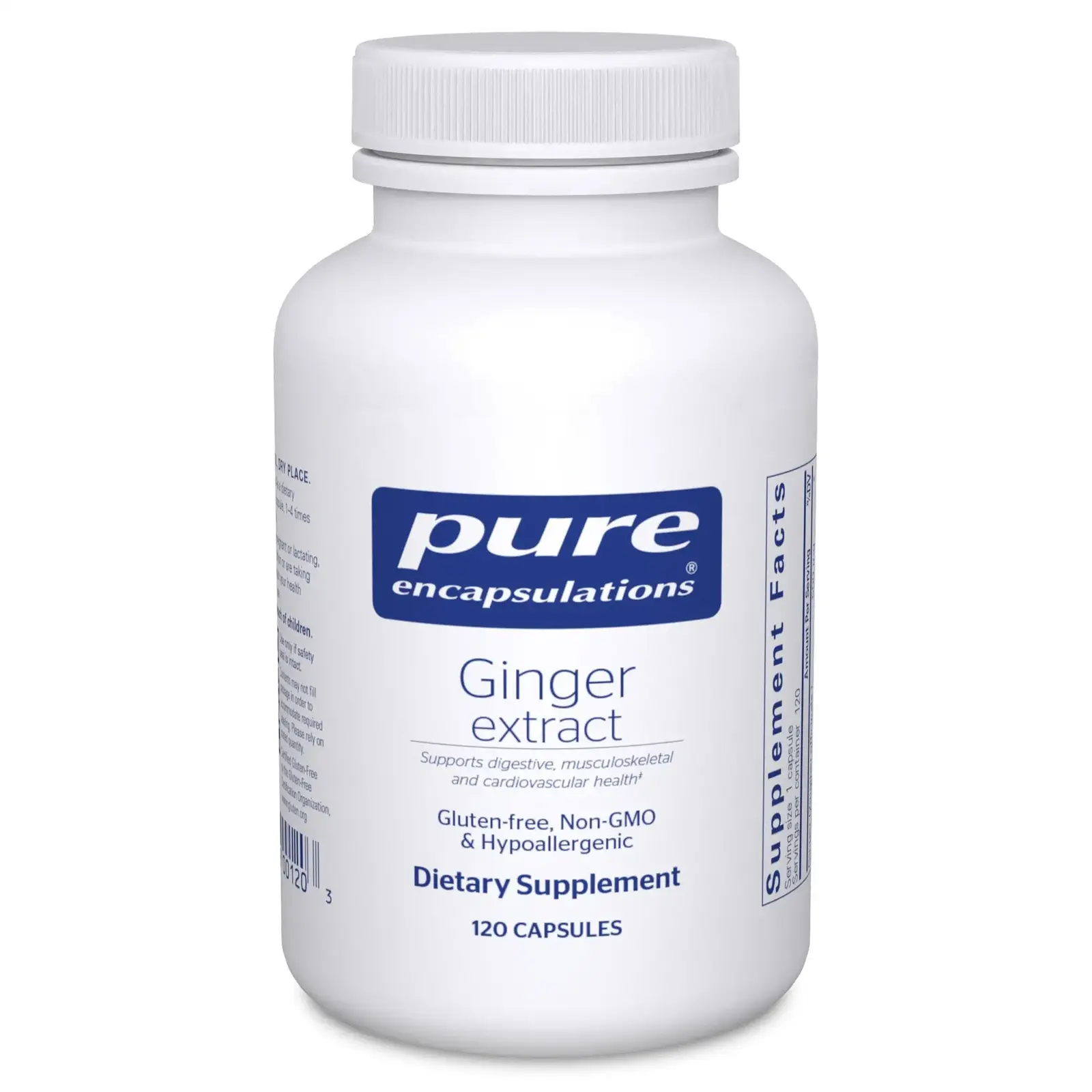 Ginger Extract