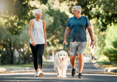 seniors walk dog