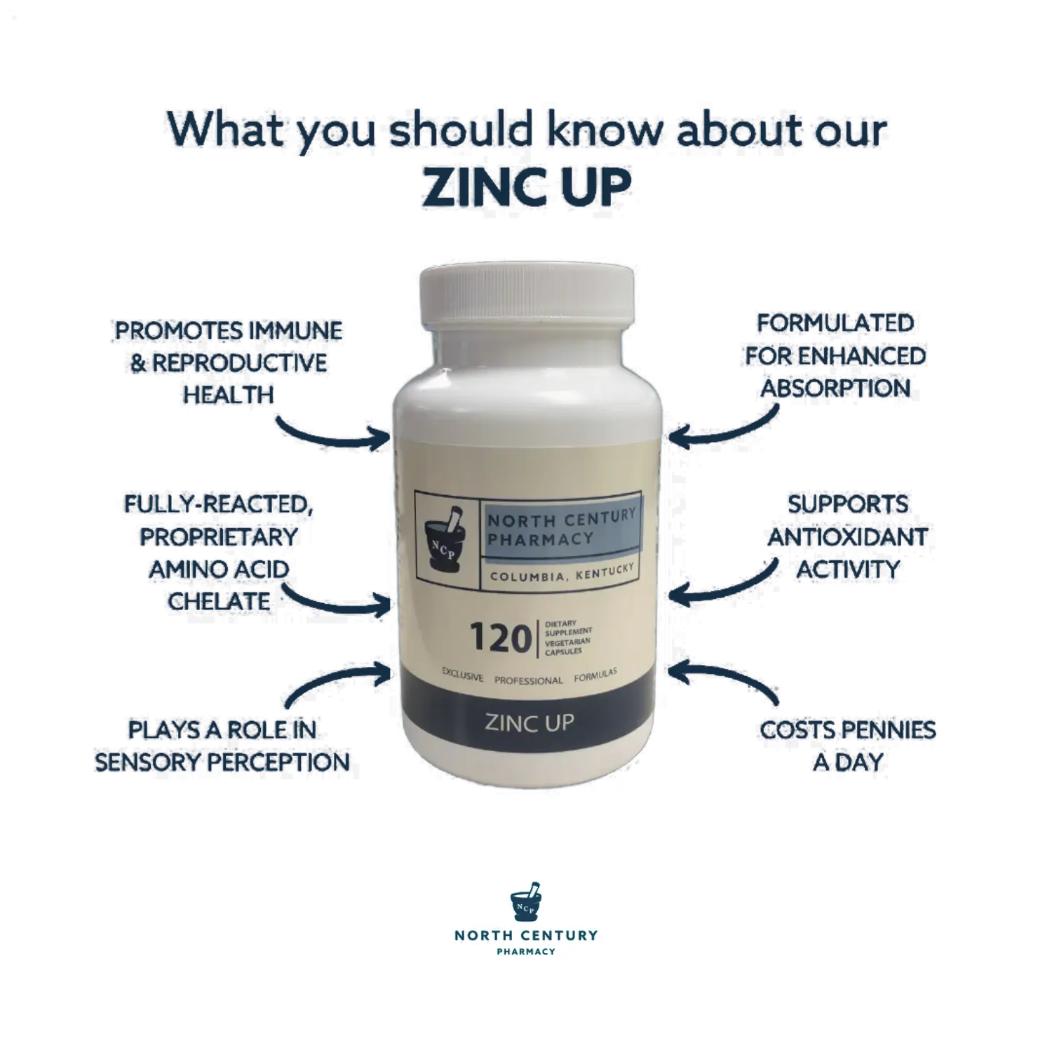 Zinc Up 120 Capsules